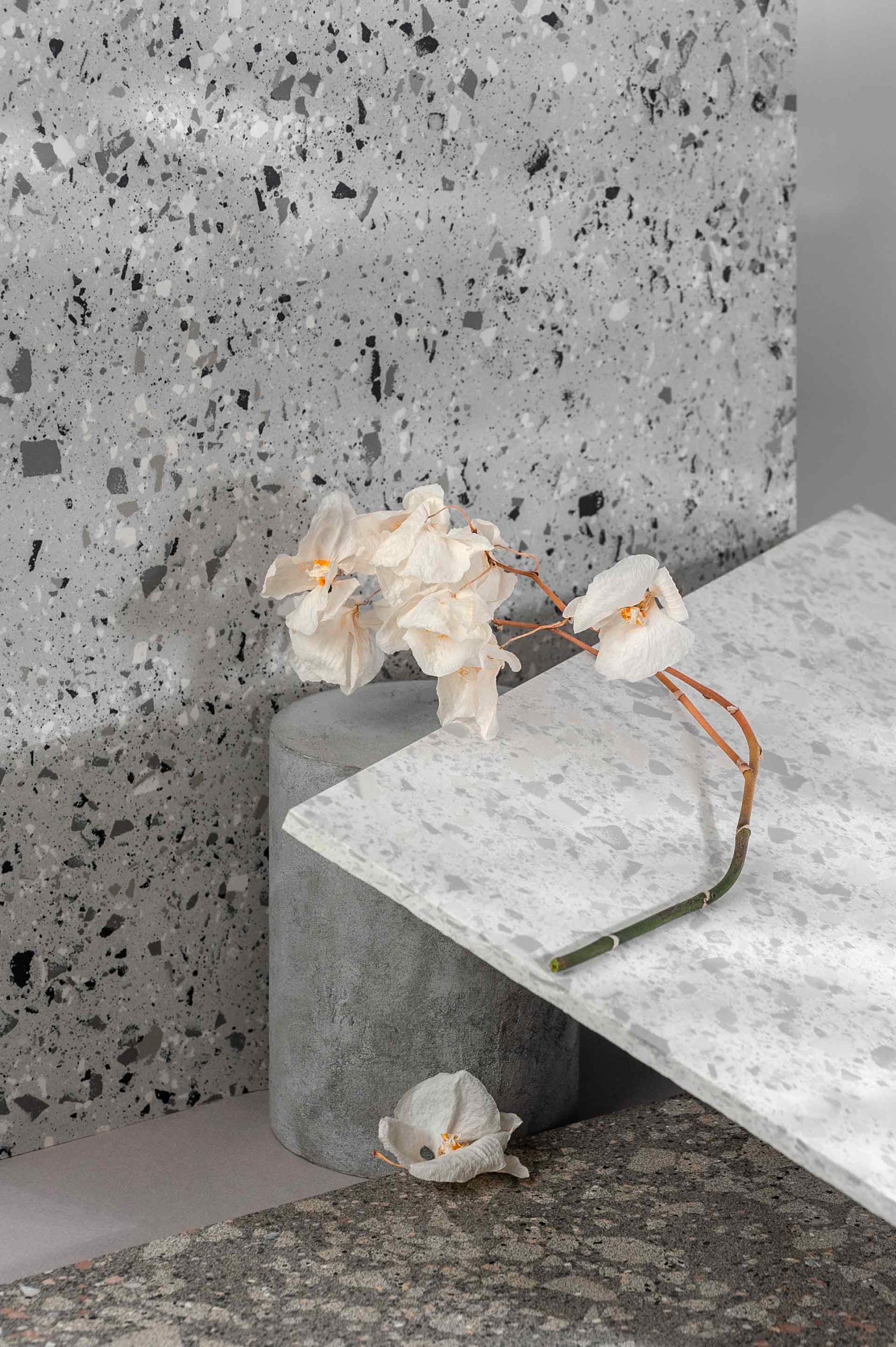 modern-interior-composition-using-various-stone-TBLCP2J-scaled.jpg modern-interior-composition-using-various-stone-TBLCP2J-scaled.jpg