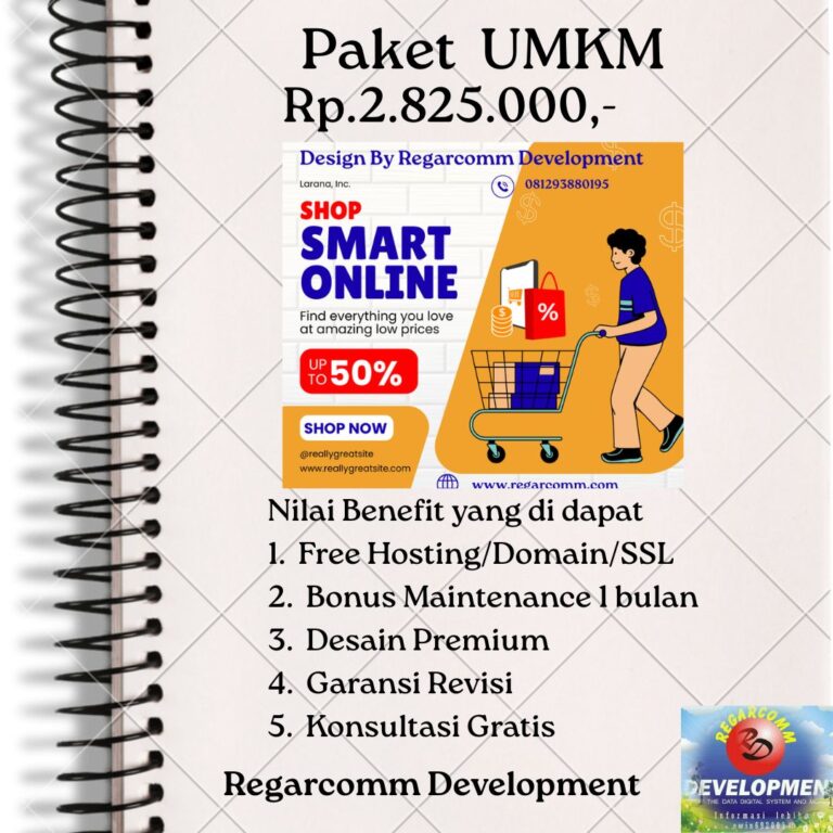 Paket E-Commerce UMKM